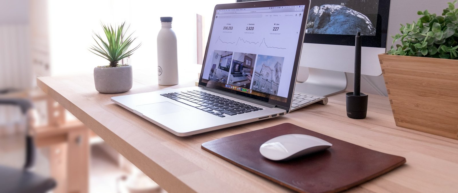 البرمجيات والحلول الرقمية